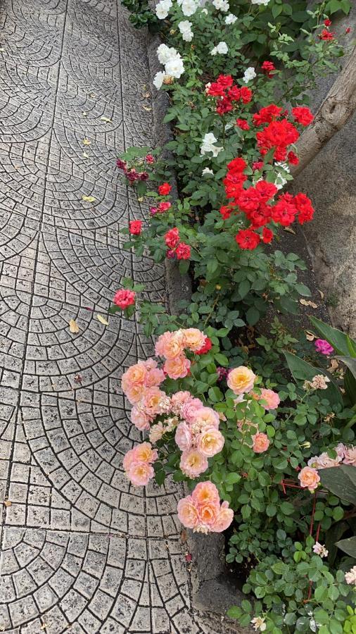 Casa Delle Rose Villa Catania Luaran gambar
